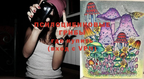 ешки Зерноград