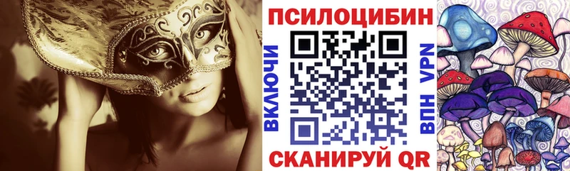 Галлюциногенные грибы прущие грибы  Купить где  Навашино 